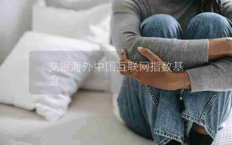 交银海外中国互联网指数基金