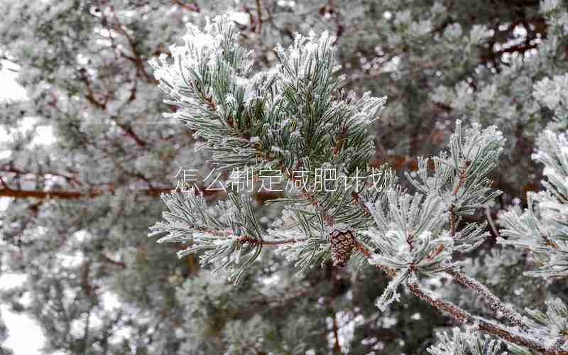 怎么制定减肥计划 怎么制定减肥计划