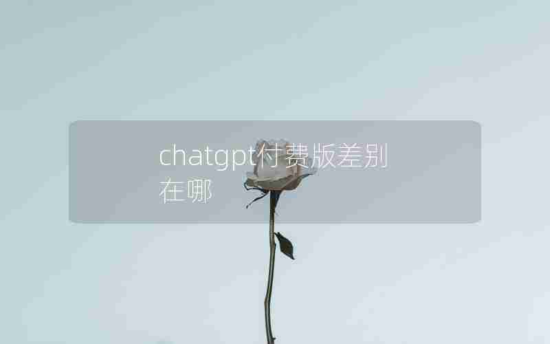 chatgpt付费版差别在哪 chatgpt付费版差别在哪