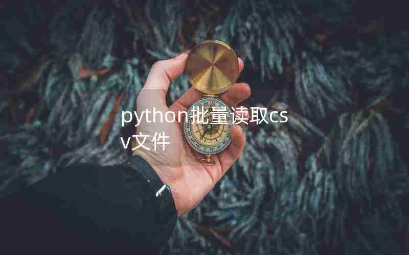 python批量读取csv文件 python批量读取csv文件