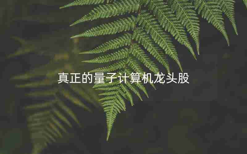 真正的量子计算机龙头股 真正的量子计算机龙头股