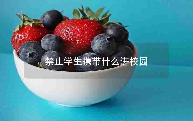 禁止学生携带什么进校园