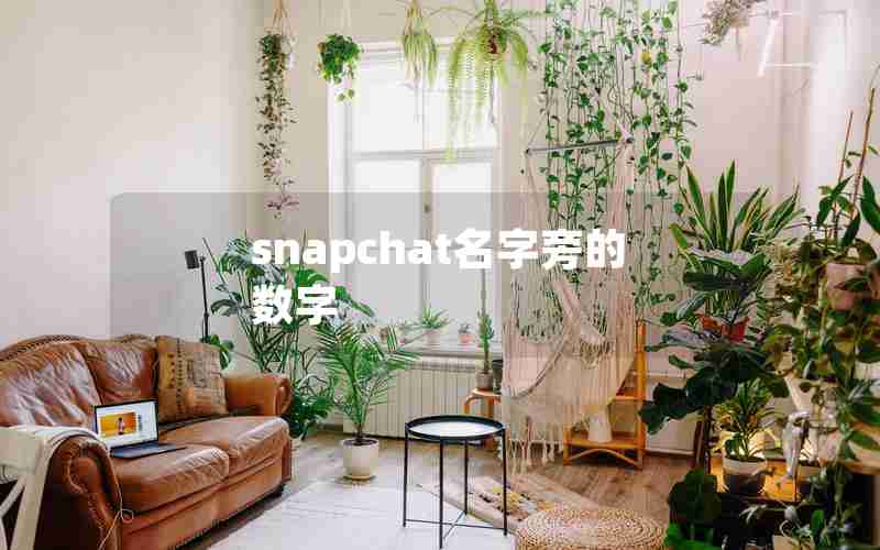snapchat名字旁的数字 snapchat名字旁的数字