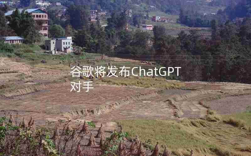 谷歌将发布ChatGPT对手