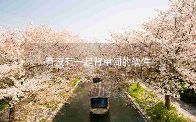 有没有一起背单词的软件