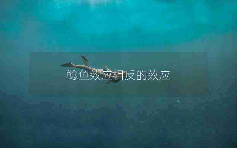 鲶鱼效应相反的效应 鲶鱼效应相反的效应