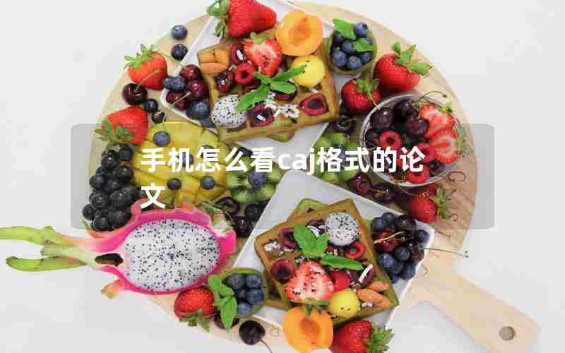 手机怎么看caj格式的论文