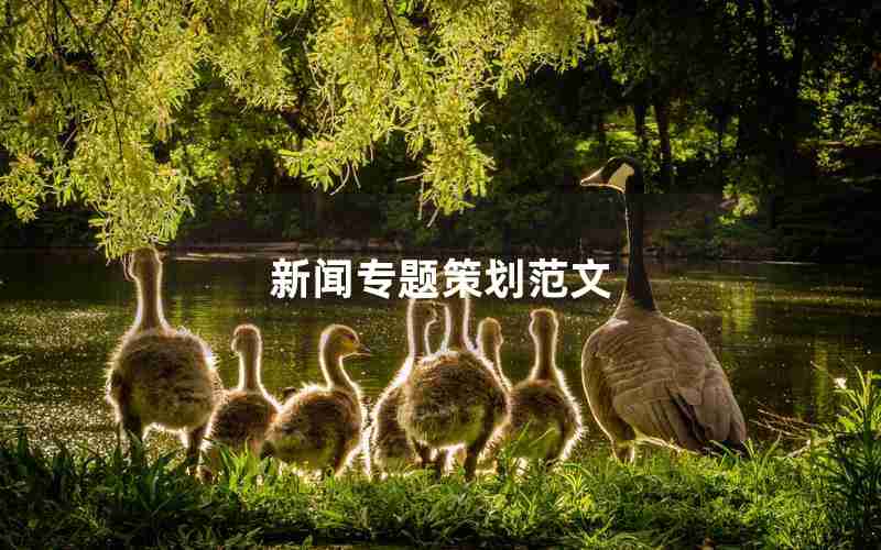 新闻专题策划范文 新闻专题策划范文