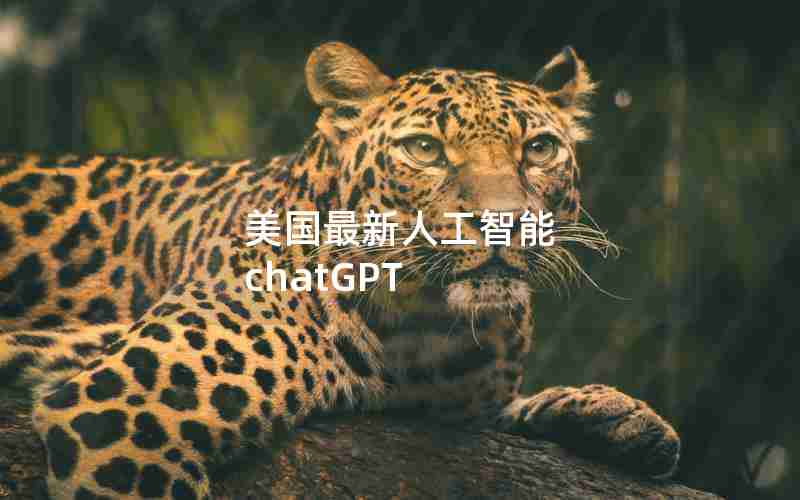 美国最新人工智能 chatGPT