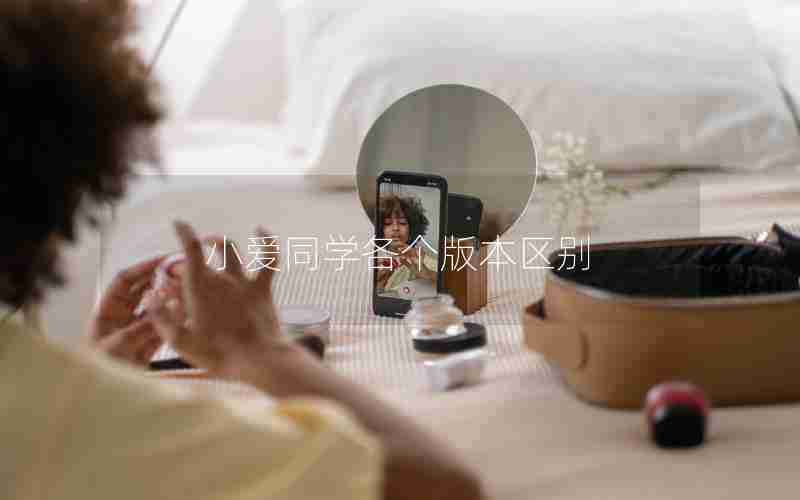 小爱同学各个版本区别