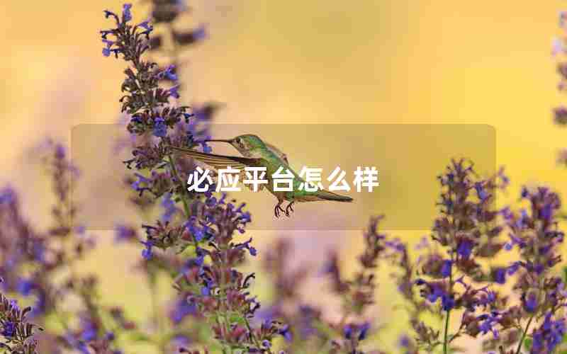 必应平台怎么样 必应平台怎么样