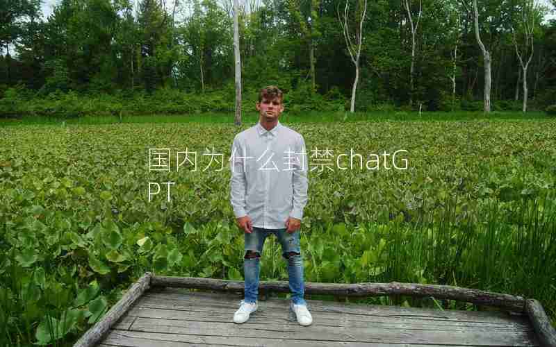 国内为什么封禁chatGPT