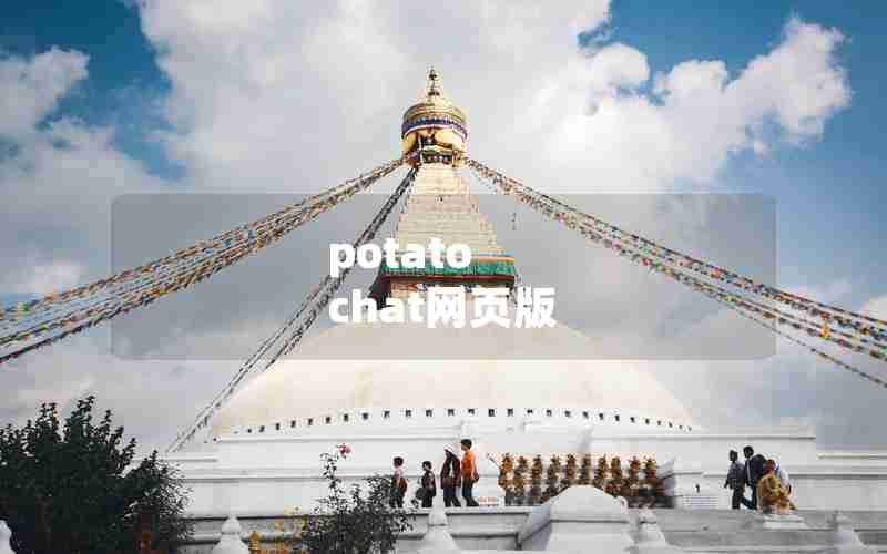 potato chat网页版 potato chat网页版