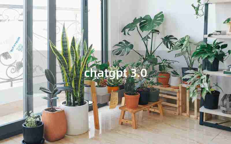 chatgpt 3.0