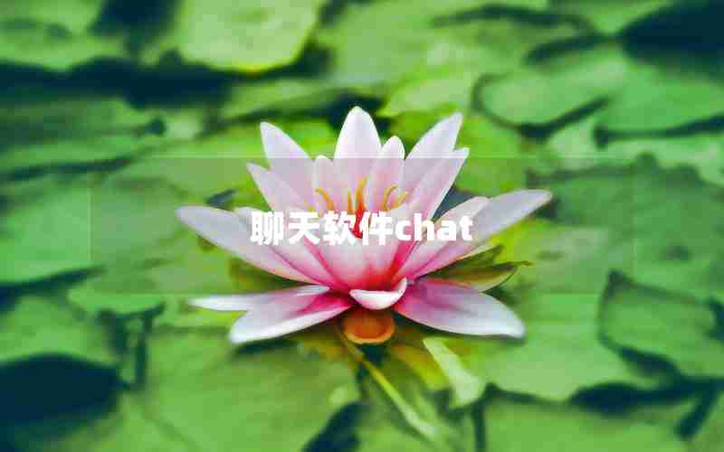 聊天软件chat 聊天软件chat