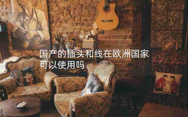 国产的插头和线在欧洲国家可以使用吗