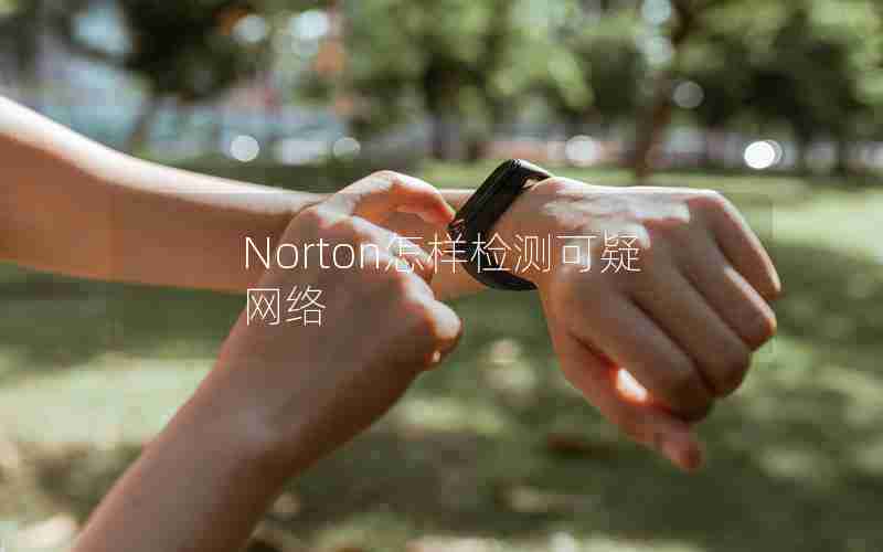 Norton怎样检测可疑网络 Norton怎样检测可疑网络