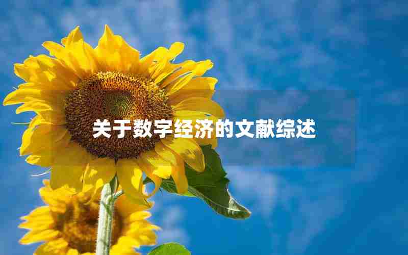 关于数字经济的文献综述 关于数字经济的文献综述
