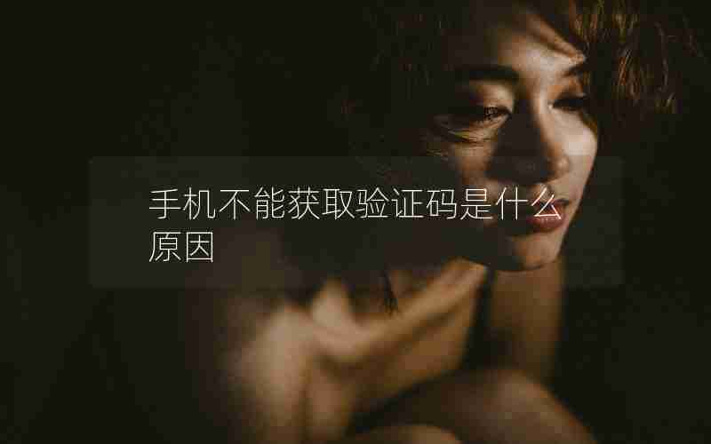 手机不能获取验证码是什么原因 手机不能获取验证码是什么原因