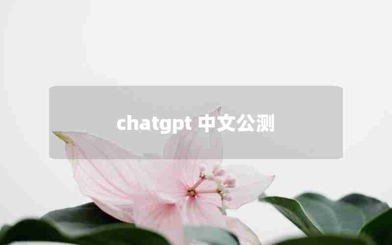 chatgpt 中文公测 chatgpt 中文公测