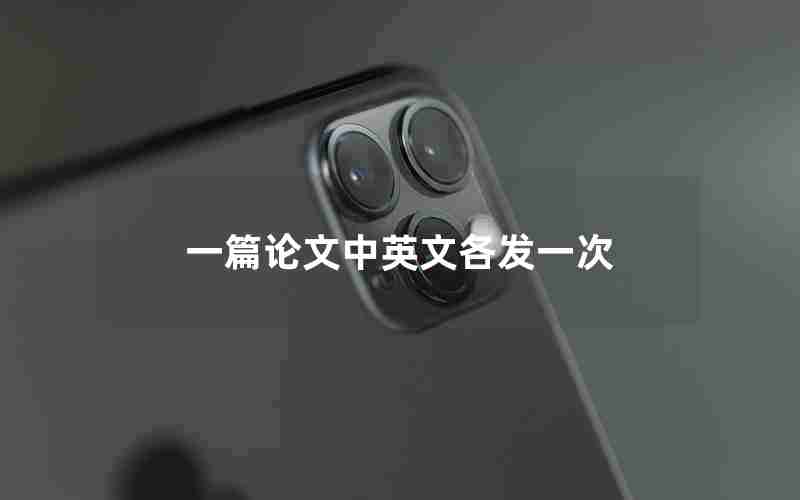 一篇论文中英文各发一次 一篇论文中英文各发一次