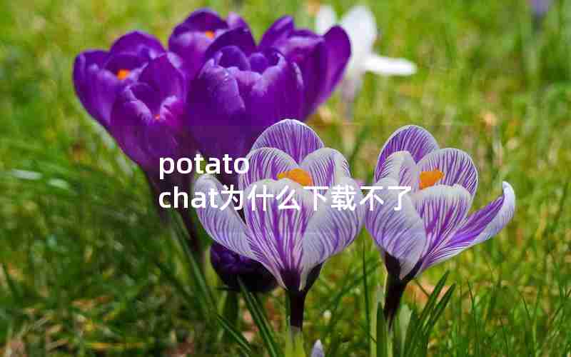 potato chat为什么下载不了 potato chat为什么下载不了