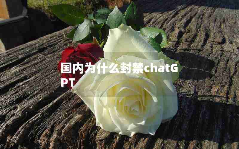 国内为什么封禁chatGPT