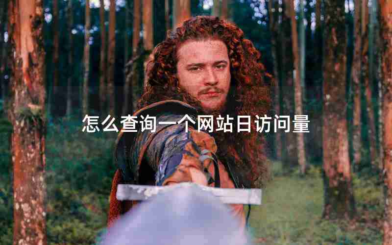 怎么查询一个网站日访问量