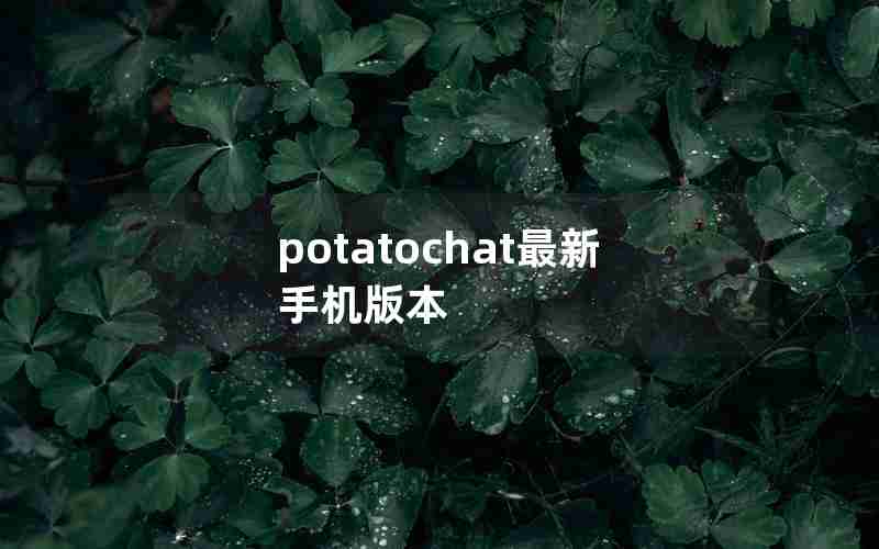 potatochat最新手机版本 potatochat最新手机版本