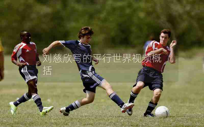 刘慈欣写的平行世界视频概括