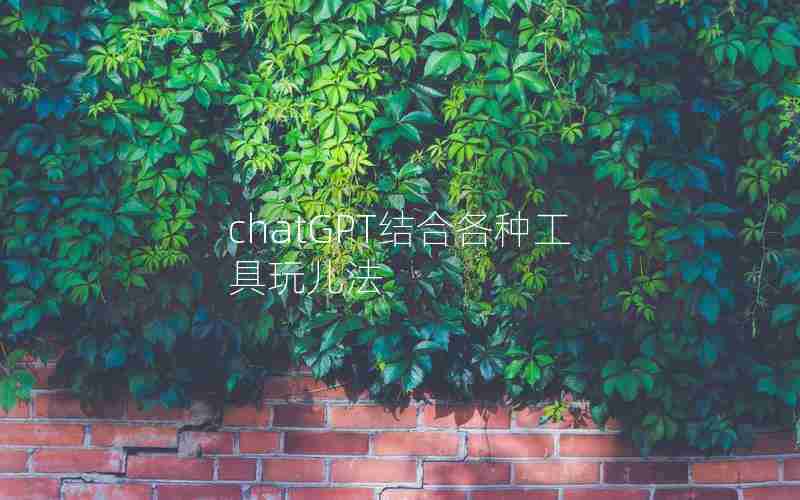 chatGPT结合各种工具玩儿法