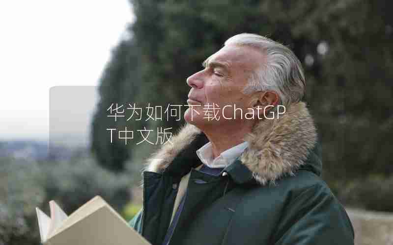 华为如何下载ChatGPT中文版 华为如何下载ChatGPT中文版
