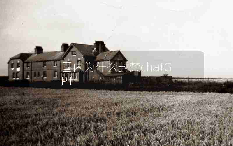 国内为什么封禁chatGPT