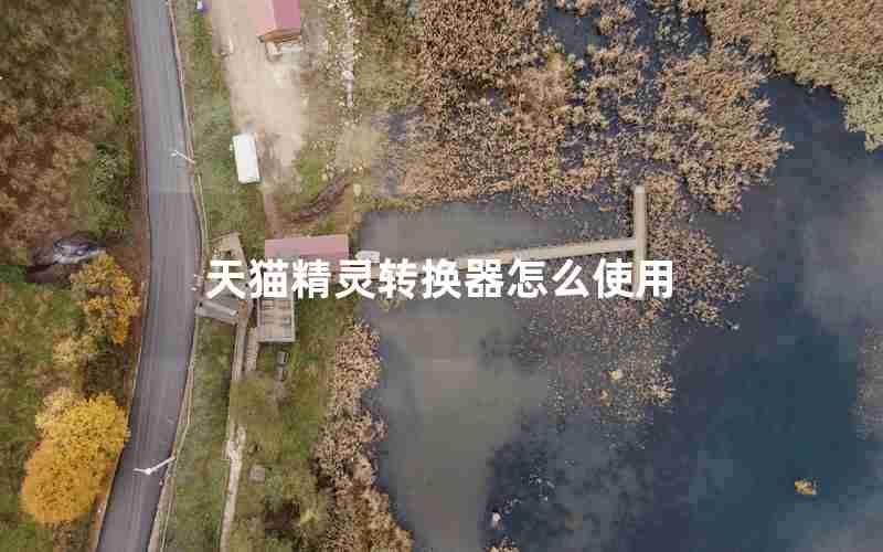 天猫精灵转换器怎么使用
