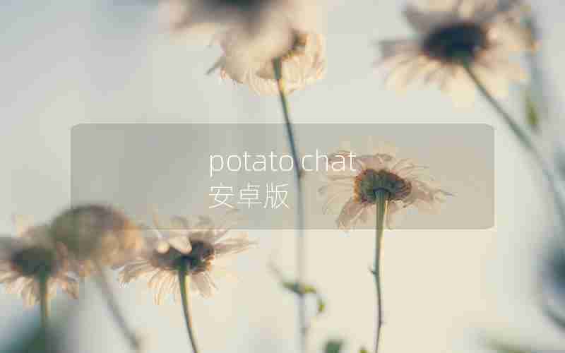 potato chat 安卓版 potato chat 安卓版