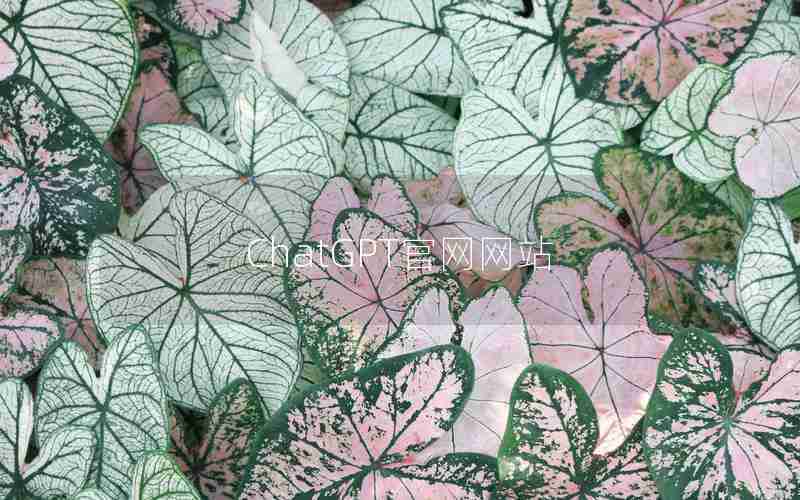 ChatGPT官网网站 ChatGPT官网网站