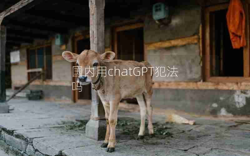国内用chatGPT犯法吗