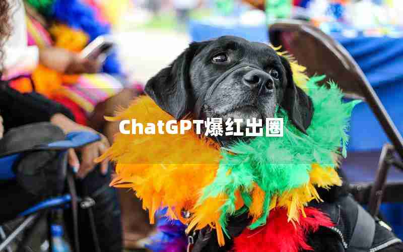 ChatGPT爆红出圈 ChatGPT爆红出圈