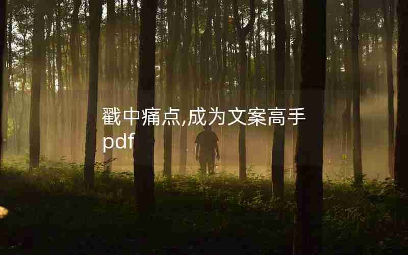 戳中痛点,成为文案高手 pdf