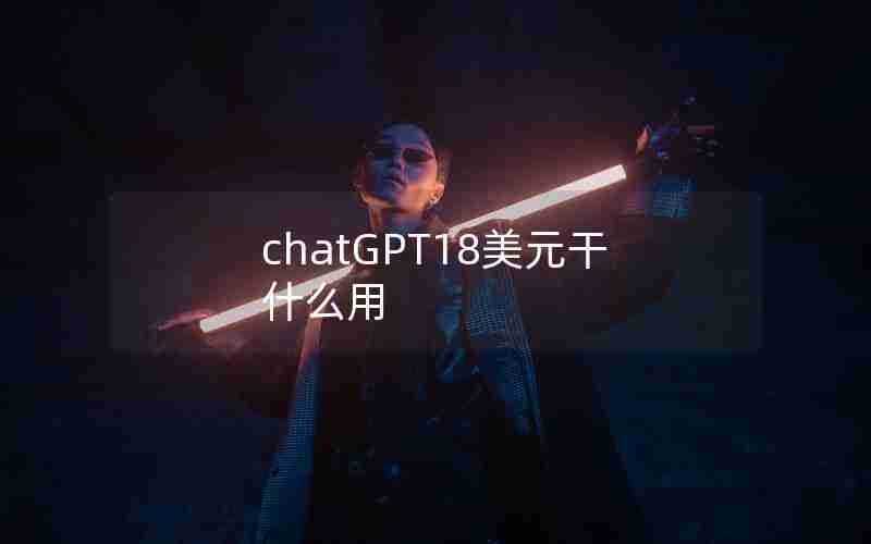 chatGPT18美元干什么用