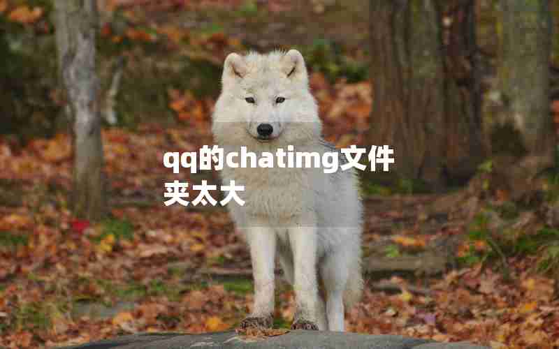 qq的chatimg文件夹太大 qq的chatimg文件夹太大