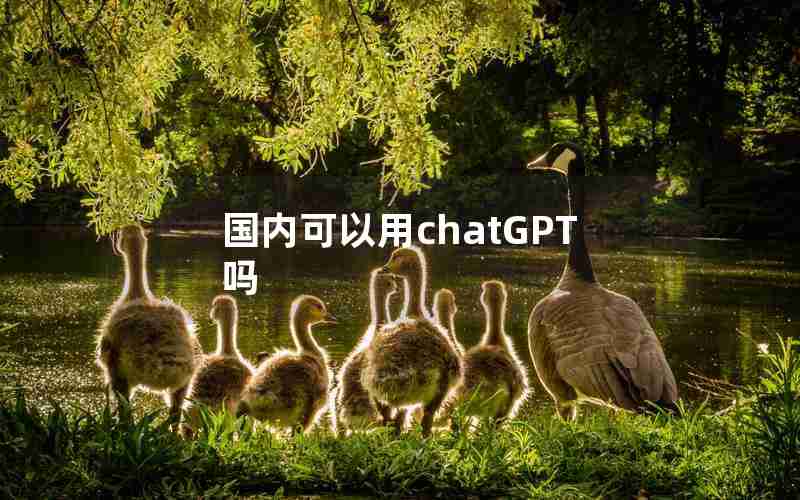 国内可以用chatGPT吗 国内可以用chatGPT吗