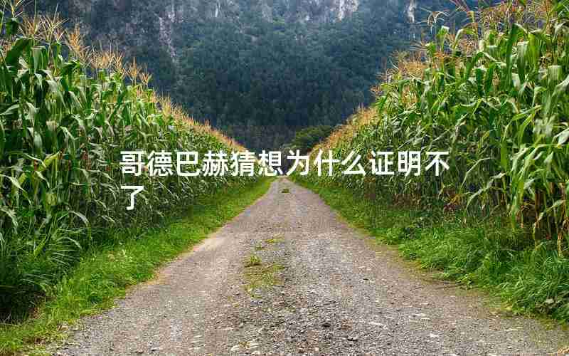 哥德巴赫猜想为什么证明不了