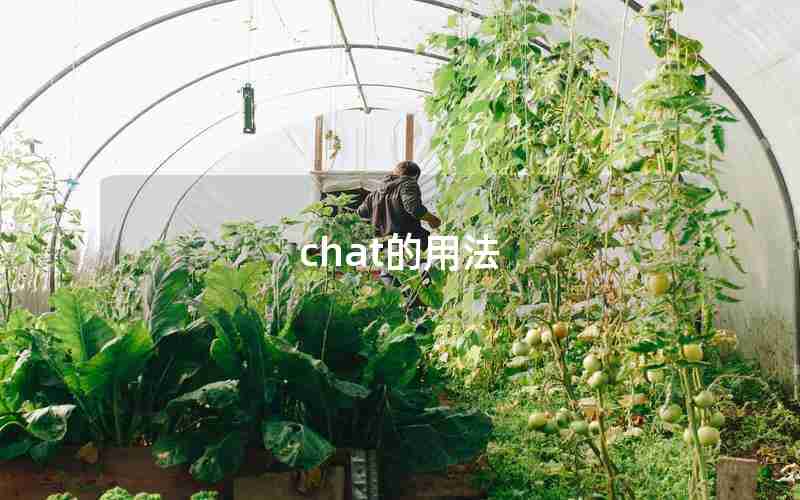 chat的用法 chat的用法
