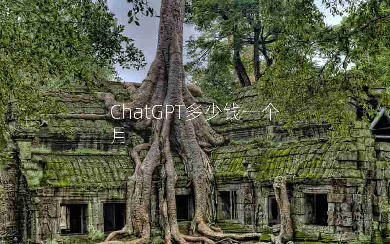 ChatGPT多少钱一个月 ChatGPT多少钱一个月