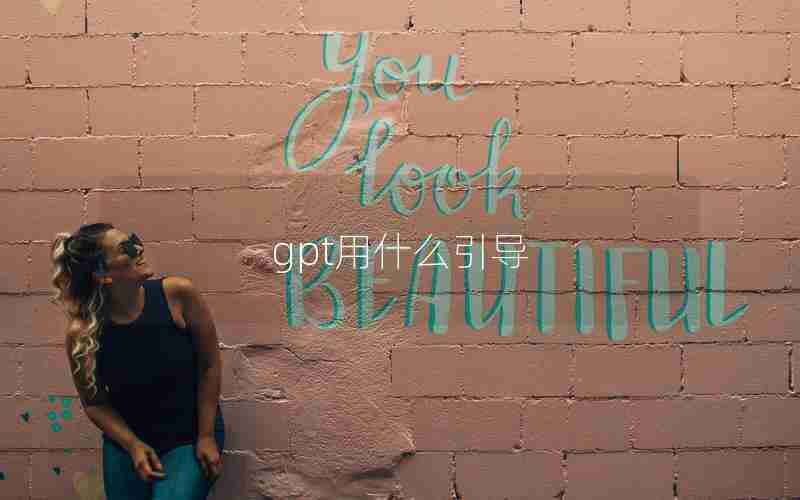 gpt用什么引导 gpt用什么引导