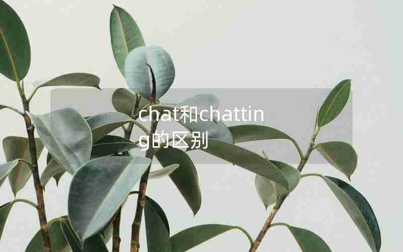 chat和chatting的区别 chat和chatting的区别