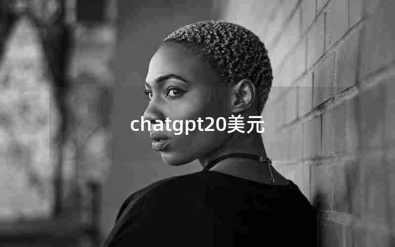 chatgpt20美元 chatgpt20美元