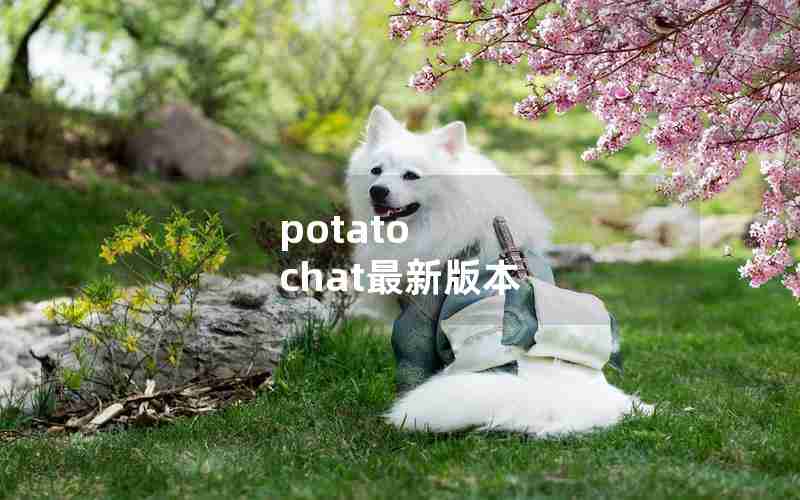 potato chat最新版本 potato chat最新版本