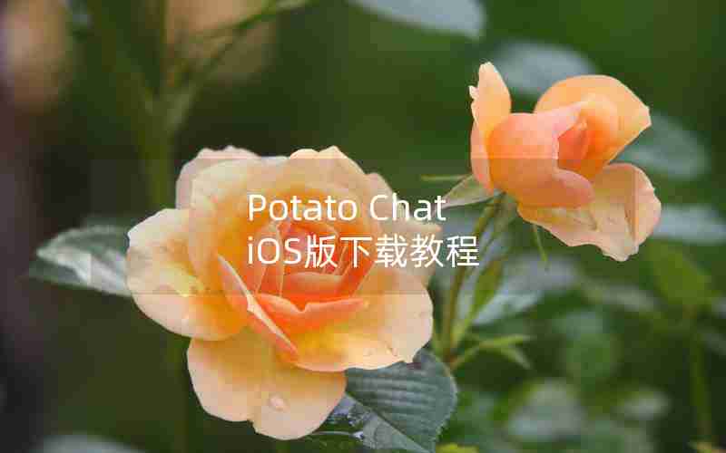 Potato Chat iOS版下载教程